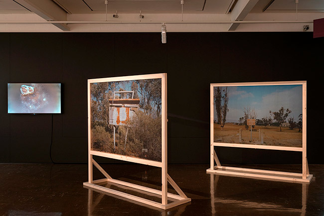 Spectral Ecologies